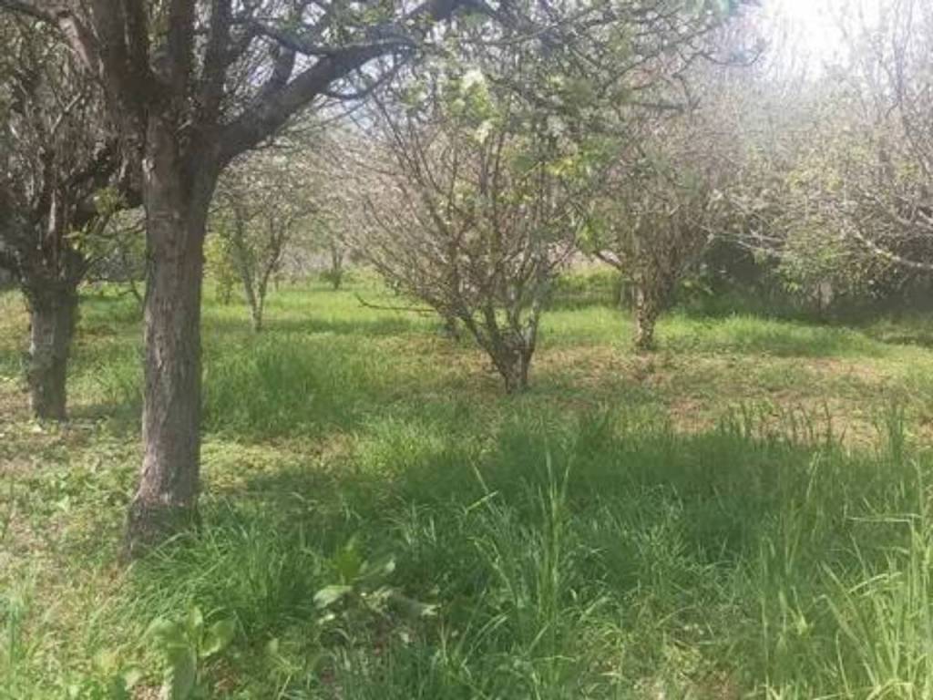 Jardín