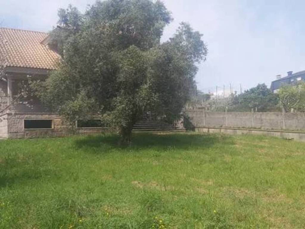Jardín