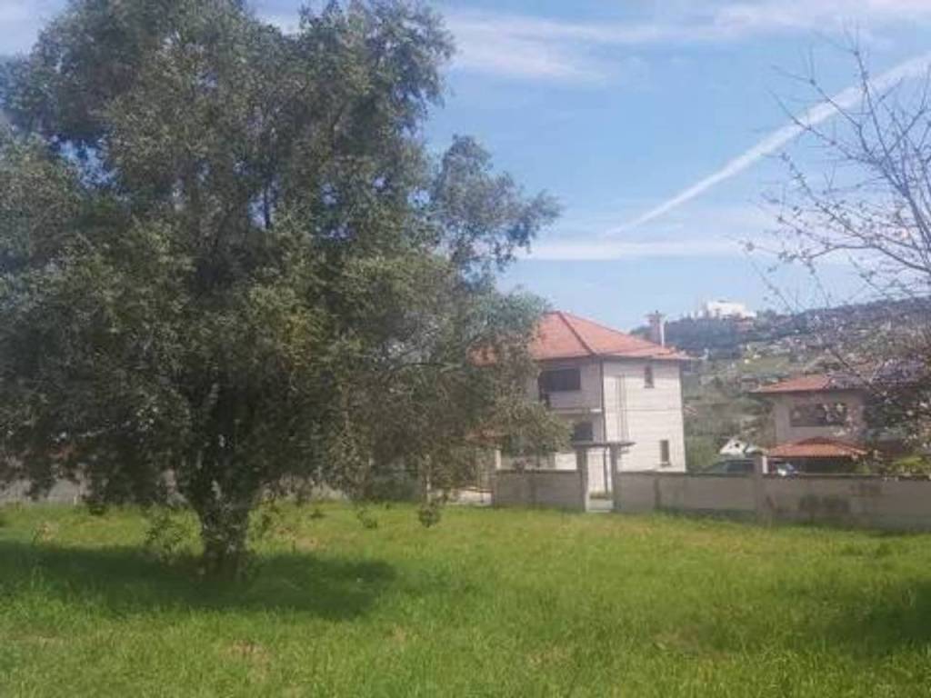 Jardín