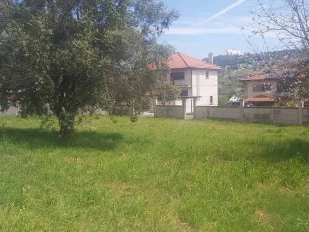 Jardín