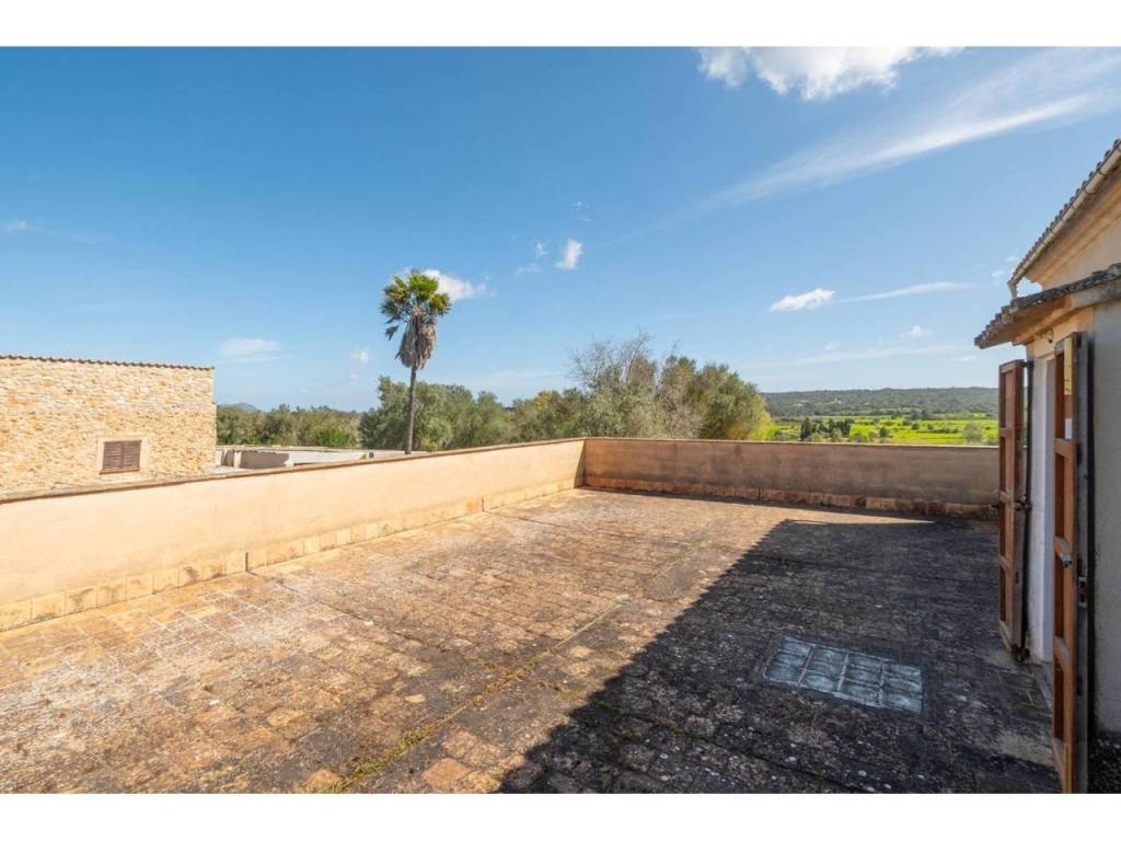 Terraza