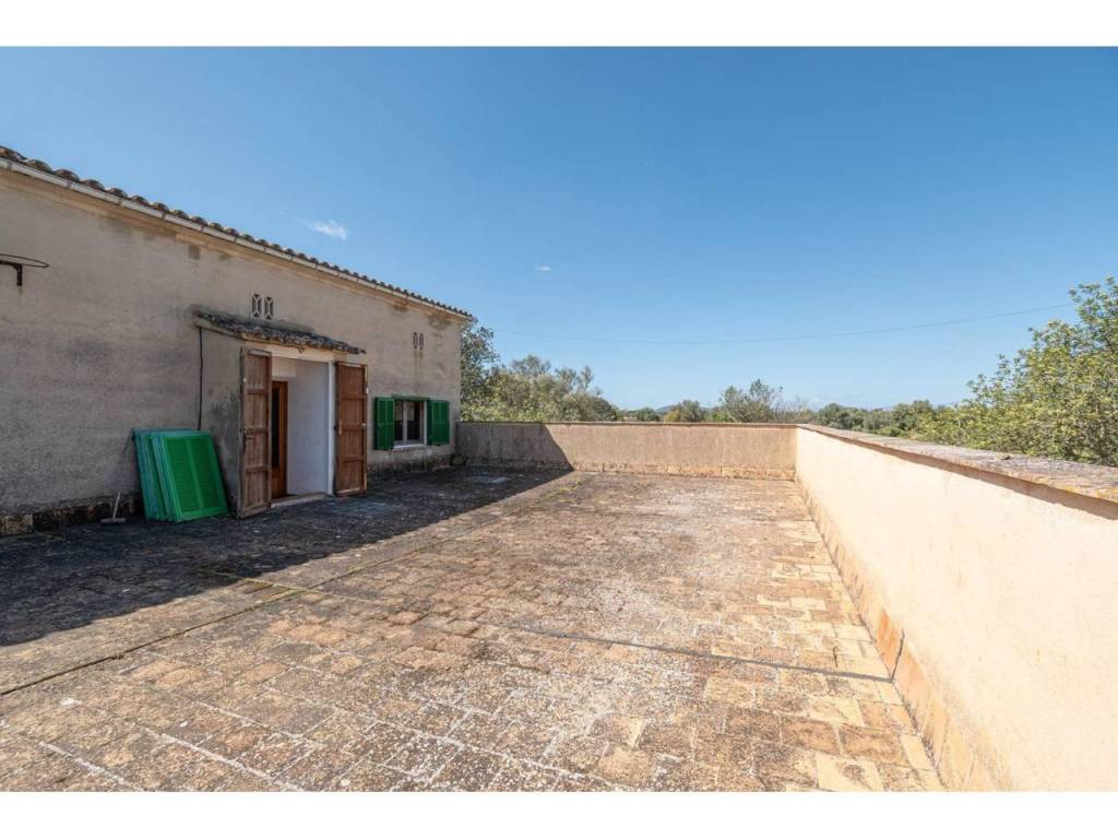 Terraza