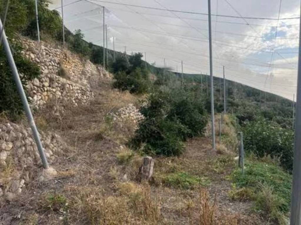 Jardín