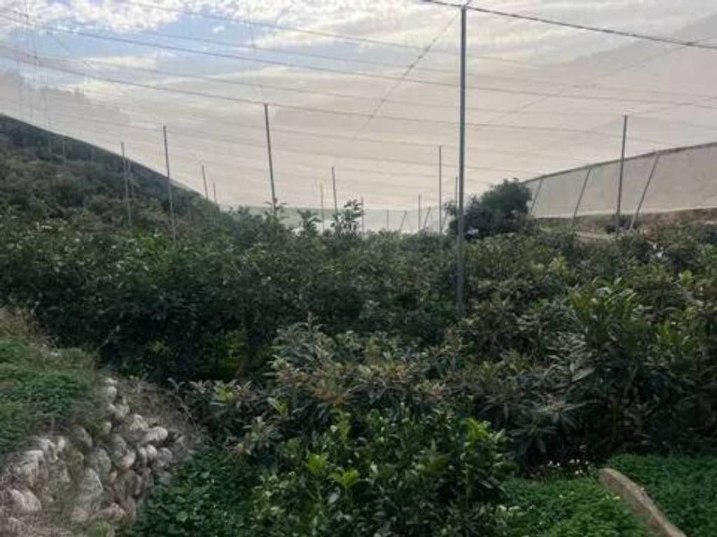 Jardín