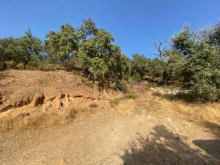 Vistas