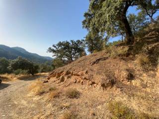 Vistas