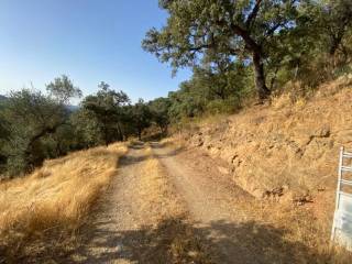 Vistas