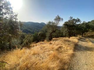 Vistas