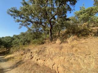 Vistas