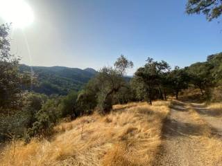 Vistas