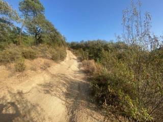 Vistas