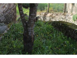 Jardín