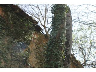 Jardín