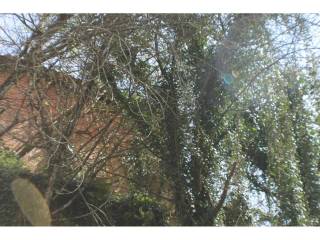 Jardín
