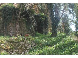 Jardín