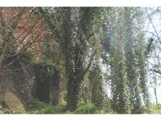 Jardín