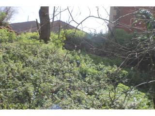 Jardín