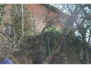 Jardín