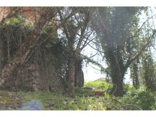 Jardín