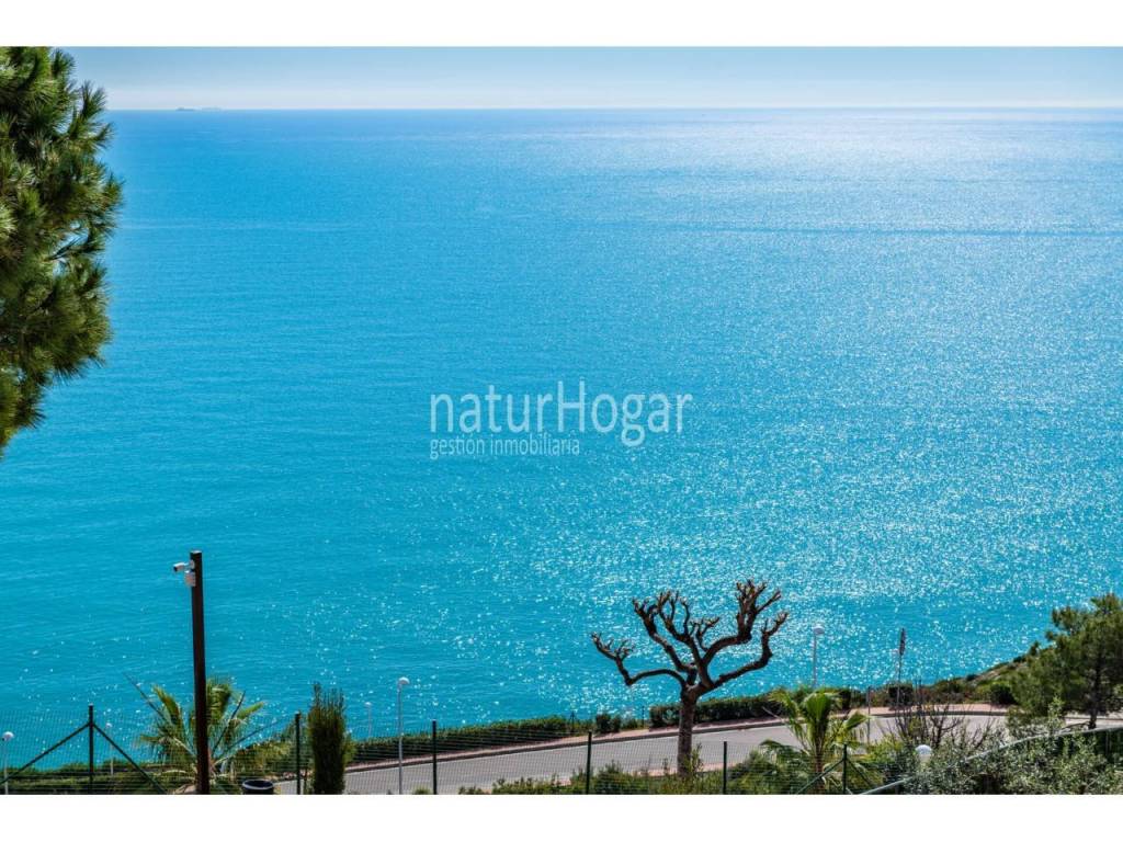 Vistas
