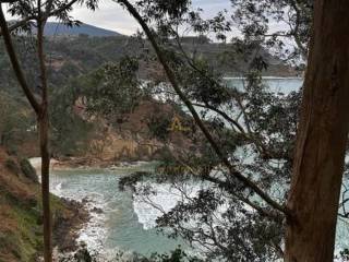 Vistas