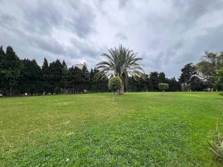 Jardín