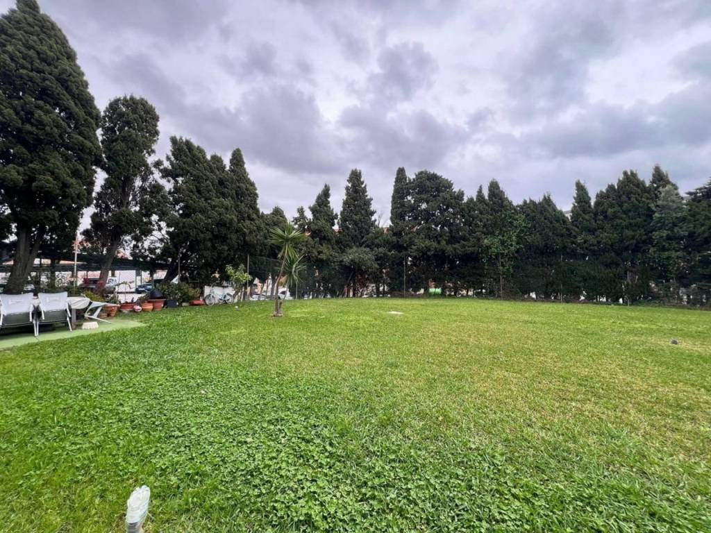 Jardín