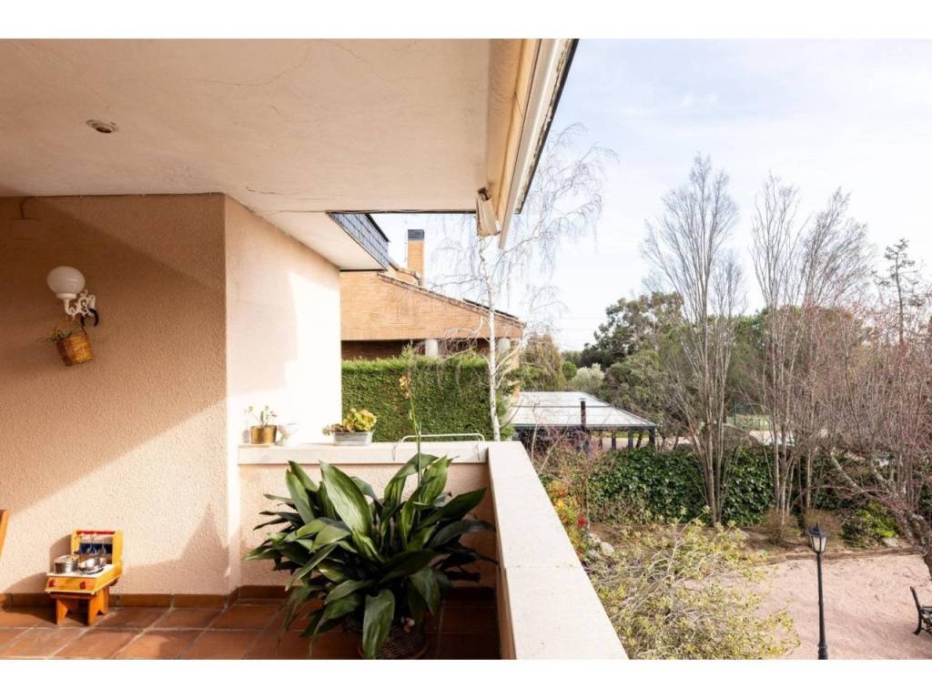 Terraza