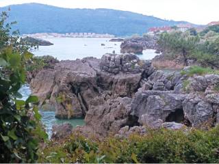 Vistas