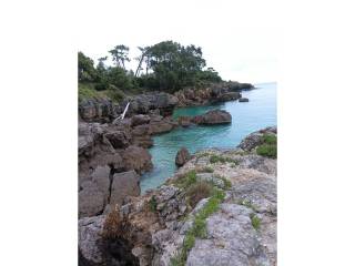Vistas