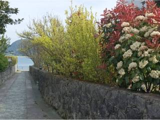 Jardín