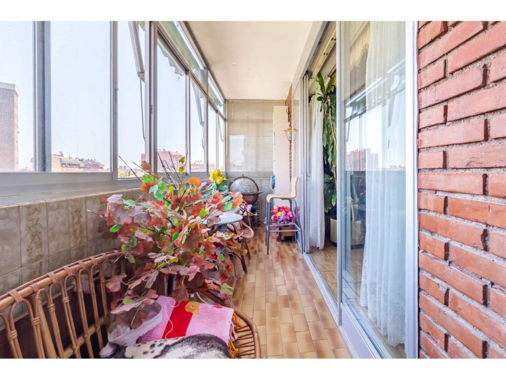 Terraza