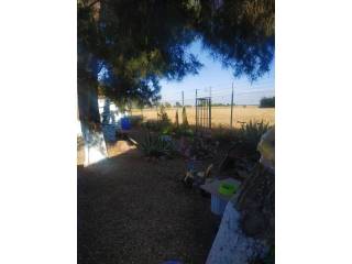 Jardín