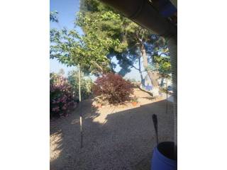 Vistas