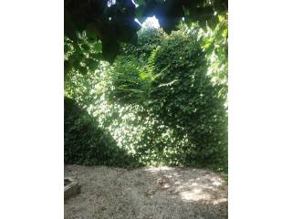Jardín