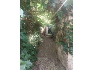 Jardín