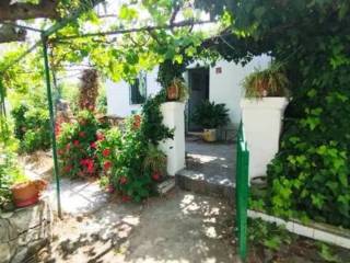 Jardín