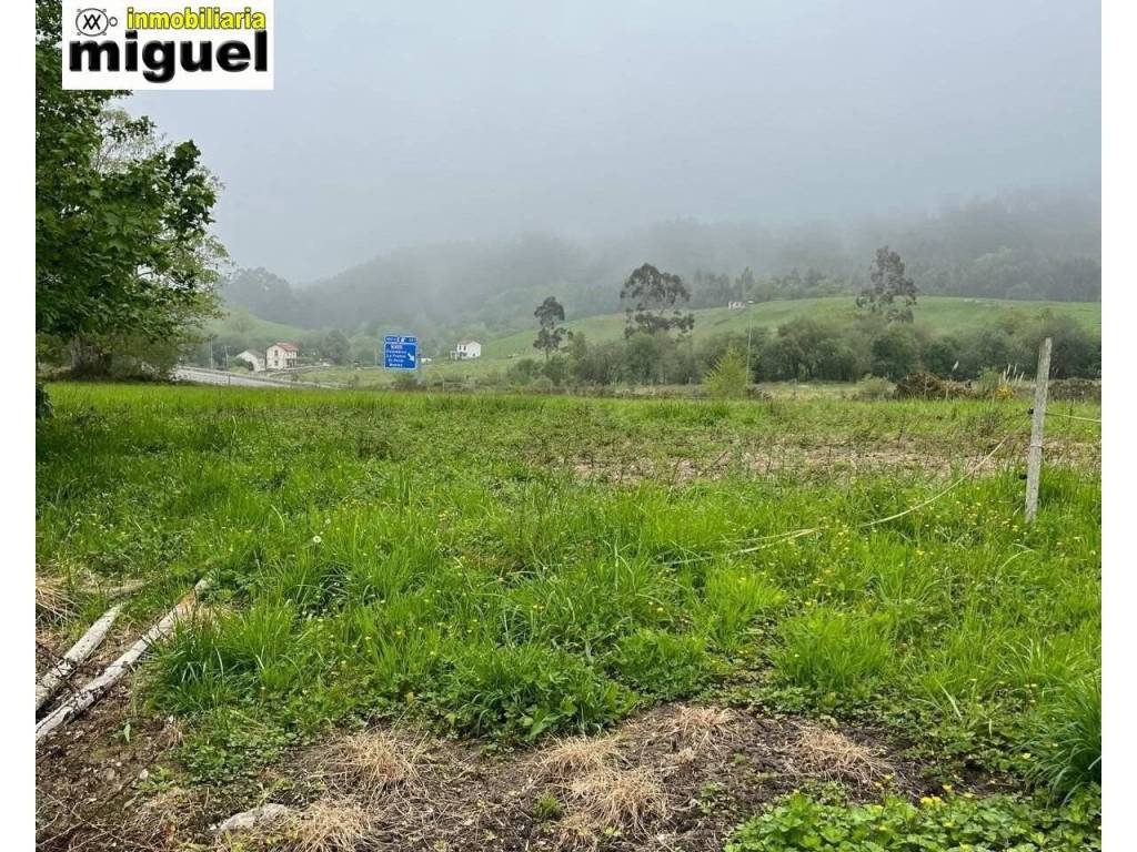 Jardín