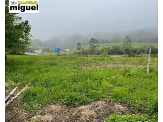 Jardín