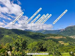 Vistas