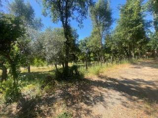 Jardín