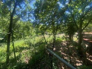 Jardín