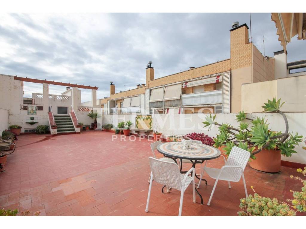 Terraza