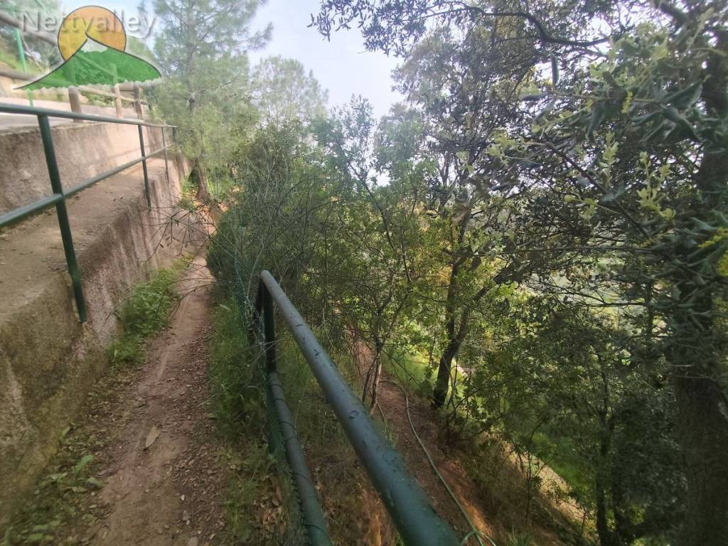 huerto