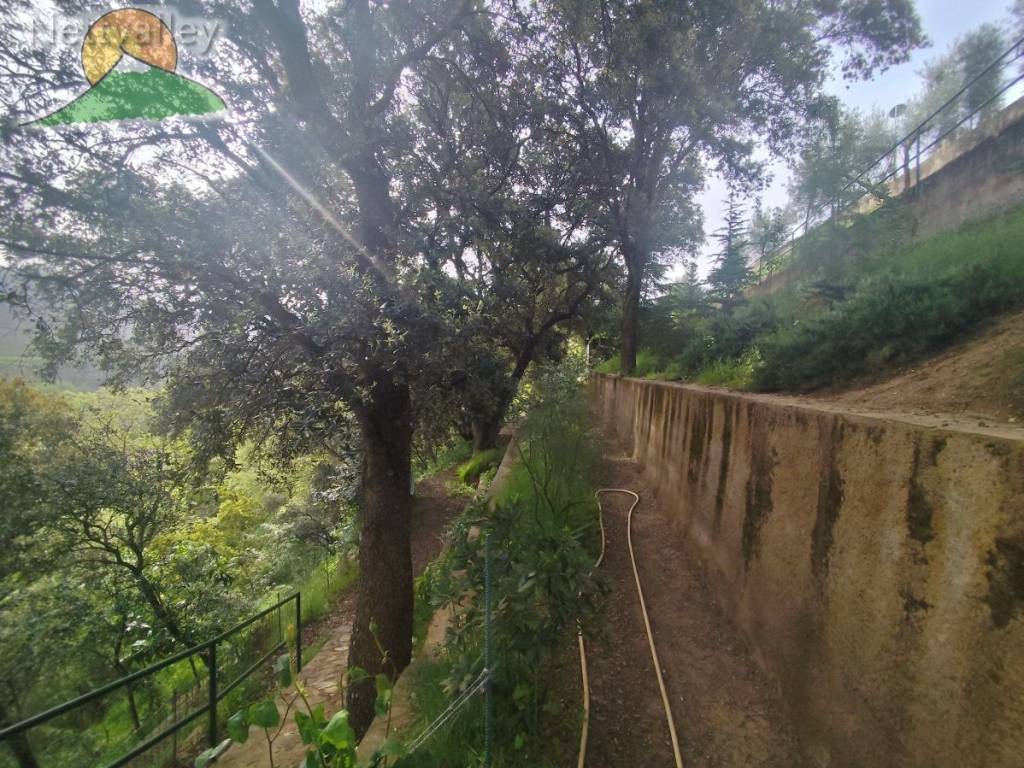 huerto