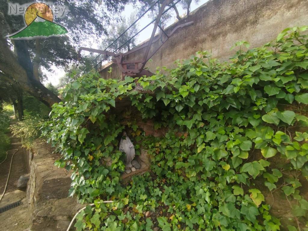 terreno