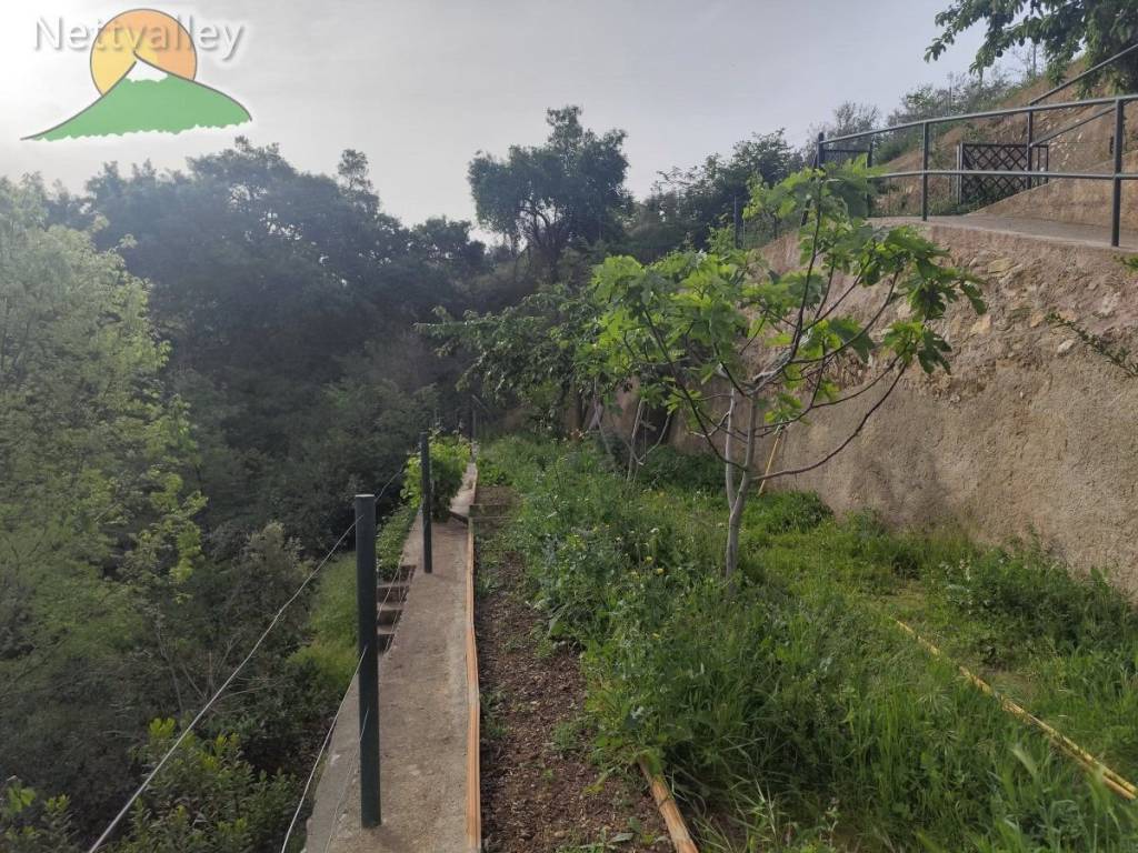 terrenoterreno