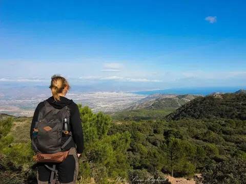 Vistas