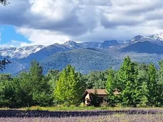 Vistas