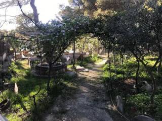 Jardín